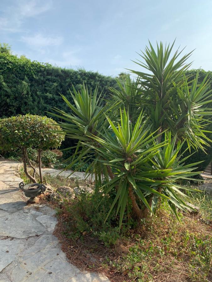 Villa Soledad Cassis Exterior photo